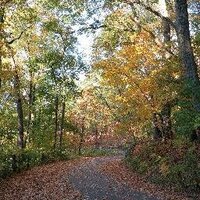 Steve Baldassarri (@baldi090613) 's Twitter Profile