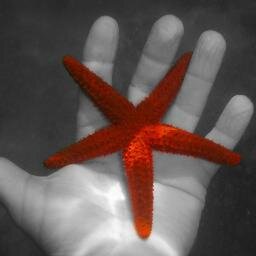 MarcosMerza's profile picture. Galego.