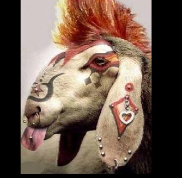 Beheheheheheheh
