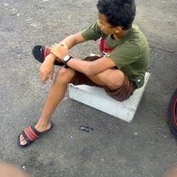 tim Volly