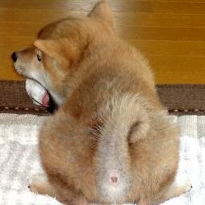 どんべえ