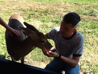 Dvolz70's profile picture. 