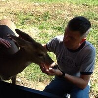 Dave Volz (@dvolz70) 's Twitter Profile