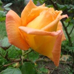 liliana_burgos1's profile picture. Operadora Turistica, Referente turistico Pcial. Locutora Radial.