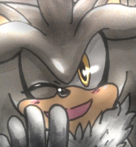 Hey! I'm that grey hedgehog who can time travel. Even though I'm on a mission, I have made quite a few friends! I also have telekinesis powers!~♪ #HypeGroup
