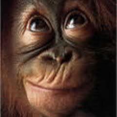 fadeika29's profile picture. Всегда готова рвануть за кладом