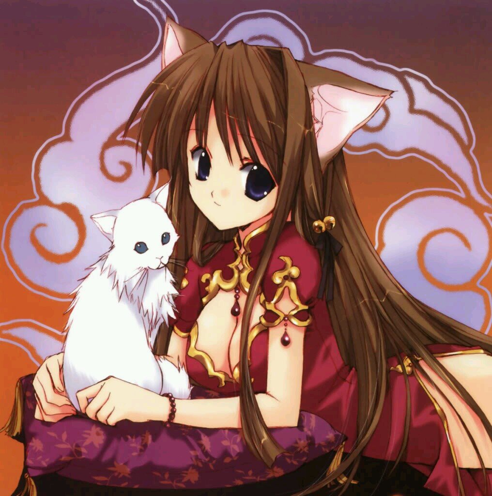 Haii.Follow me and ill follow u back ^-^ ♥*reminder* making a neko trio.hav 3 neko followers so far yay!★ bes† friend:@FallenAngel_   shes an angel ~so nice~  ♪