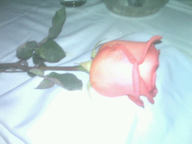 parejaseximcbo's profile picture. hombre solo en busca de acción con pajeras o chicas solas, solo sexo casual, atento, caballeroso, higiénico