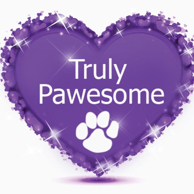 TrulyPawesome Profile Picture