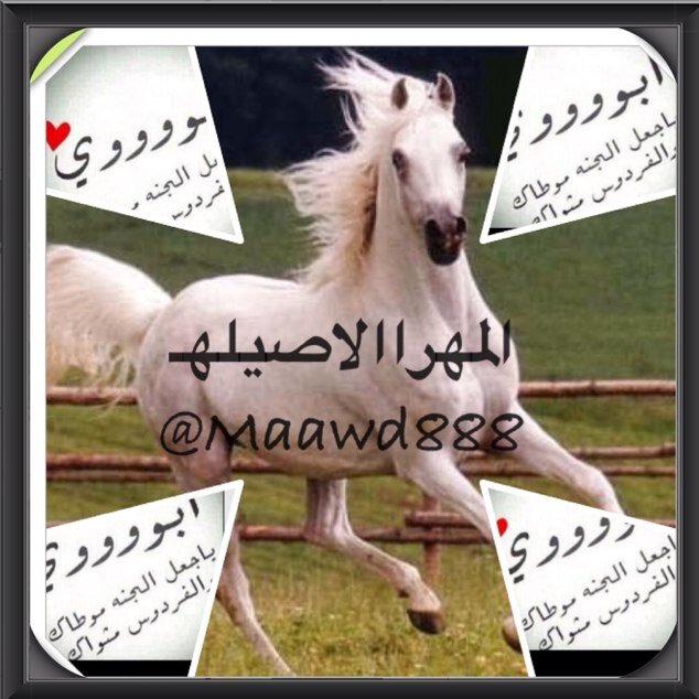 سترى اثر صبرك في الدنيا https://t.co/MGMKgTvm9e