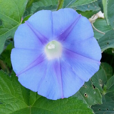 sangyoon kim rlawkdfh1 twitter sangyoon kim rlawkdfh1 twitter
