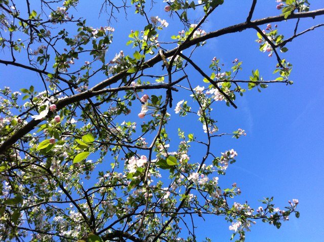 ilaberna's profile picture. 