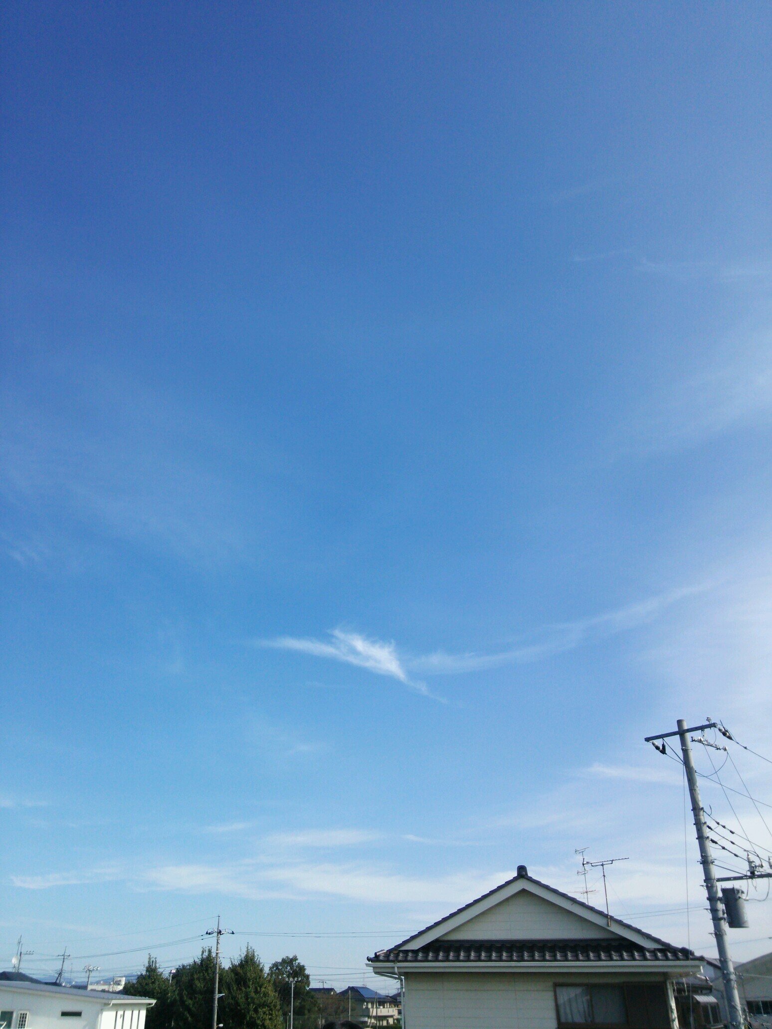 ツイッター初心者。無言フォローが多いです。すみません。Twitterやり始めると、よく喋る煩い奴。戦国BASARA、ポケモン(サブマス)、ONEPIECE、デュラララ！！とかが好きなヘタレ(*´ω｀*)