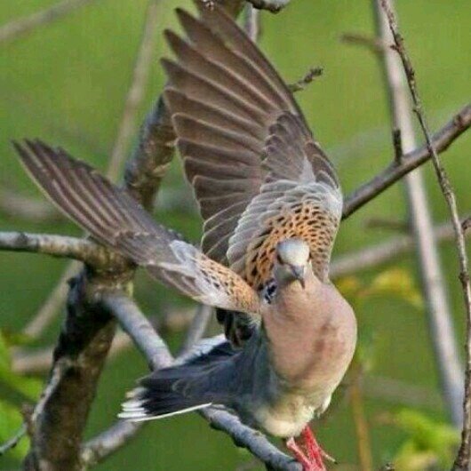 fhsd324's profile picture. 