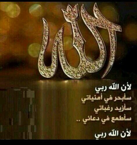 mn46085995's profile picture. 