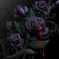 d7d364501c703ee38c8ed75effd66e