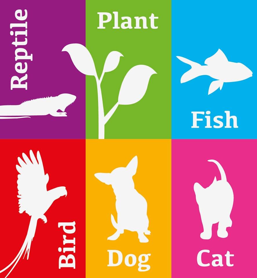 The Pet Shop Dubai is a new breed of pet store, which is run by animal lovers, for animal lovers. https://t.co/CIktkiJbSO