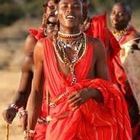 Bush Guide (@eabushguide) 's Twitter Profile