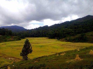 Mari berbagi info dengan sesama warga Mamasa, Sulbar