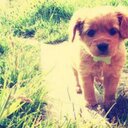 carly beck - @carlyxcb - Twitter