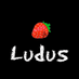 Ludus Profile picture
