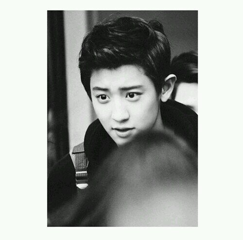 crazyvibes143's profile picture. EXO // BANGTAN BOYS // TEAM B