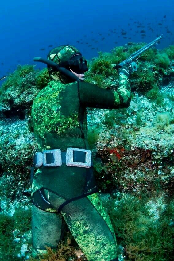 Seamoth_Dive's profile picture. Authorized dealer of Omer in Indonesia, #OmerTeamID, FreediveHolic