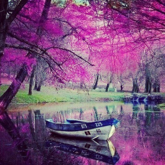 raceingcars's profile picture. I'm trying to help everyone in my life whatever I can help people