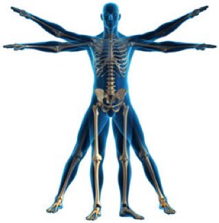 Fully qualified sports rehabilatator based in Navan for the last 6 years. For all bookings email: masheie@hotmail.com
