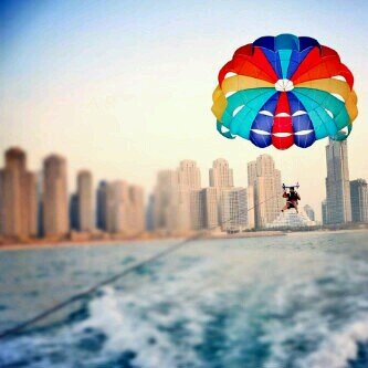 Danahbubshait1's profile picture. 