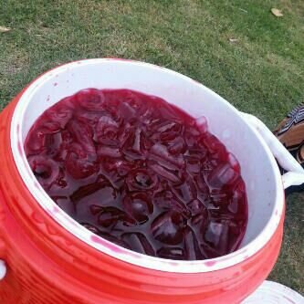 منى المالكي 19 سنة .. انتقي تغريداتي .. Rtweet