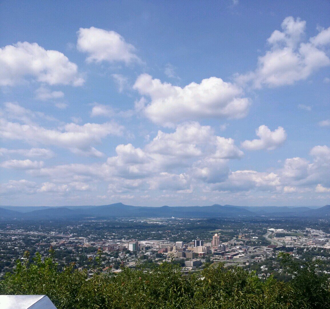 diastraub's profile picture. 