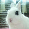 emanosuke's profile picture. 
