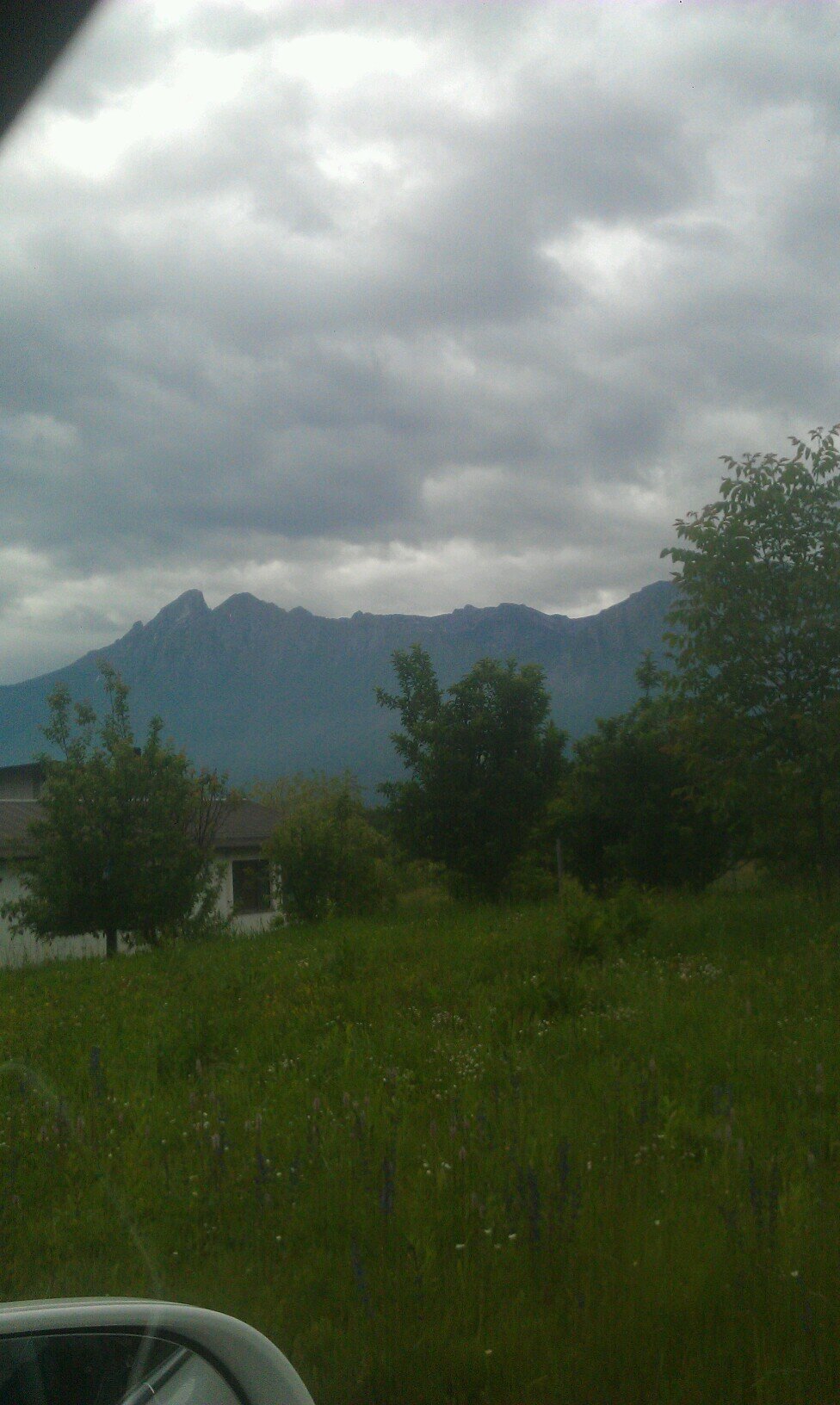 mental_kases's profile picture. Negli amori mancati  chi beve il vino del santo non sa che rischia di ubriacarsi.