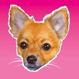 Your Designer-Insider.   Doggy Voice @sammysultan1
