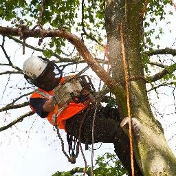 Tree Surgeons and Arboricultural Contractors.
We are a family business from Doncaster, working all over Yorkshire

http://t.co/THWzmMGmfk