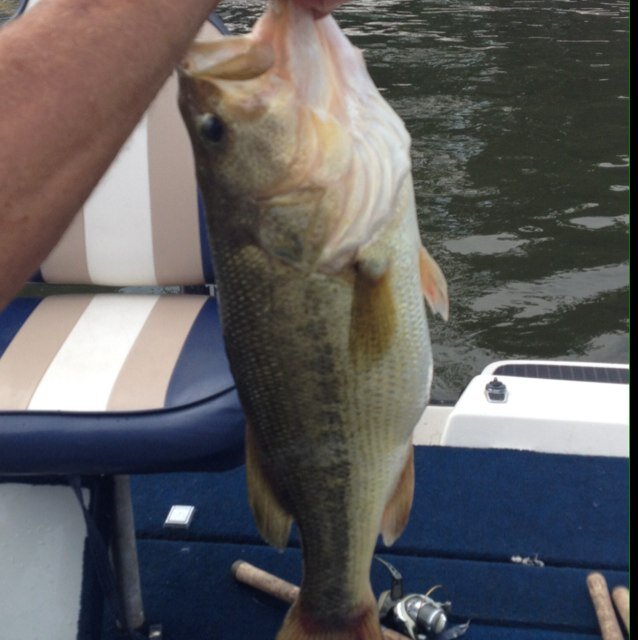 Love spending time with my  family also taking time for life. Love fishing & hunting, golfing. I stand behind our USMC for my Son & Step Dad, USAF Dad,