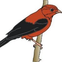 Hartford CSD (@hartfordcsd) Twitter profile photo