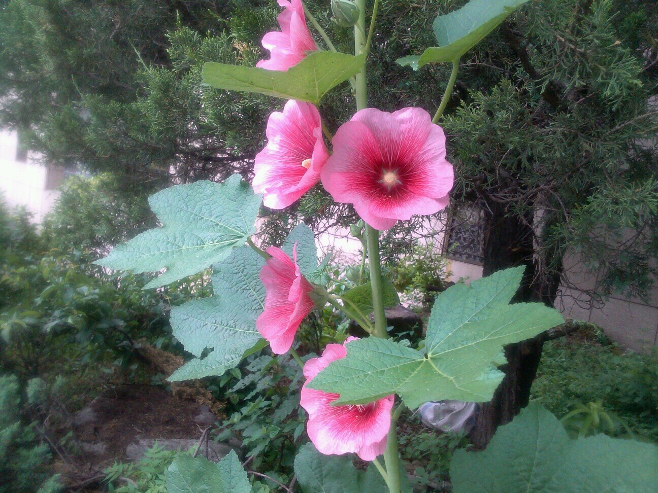 골프를 배우고 있으며 여행을 통해 사색을 즐깁니다.