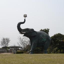 カバー写真は以前の駄の原競技場です 2017.10.10保護猫ミント(黒白ハチワレ)が家族になりました。  2023.10.31黒猫のカボチャ(かぼちゃん)が家族になりました。