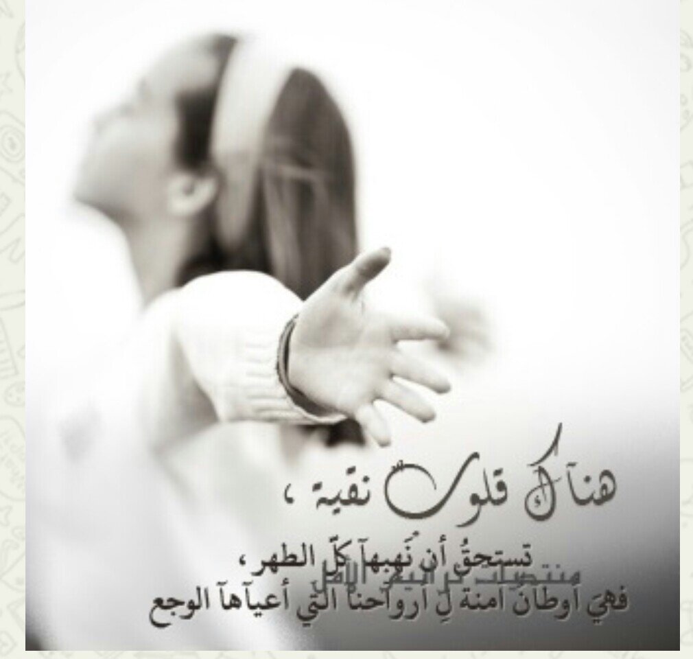 ‏‏لااله الا الله محمد رسول الله   الخاص مهمل