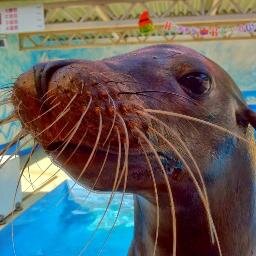 最近はシンセサイザー作ってたり。