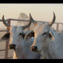 Sasha Roach - @RoachSasha - Twitter