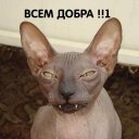 Марина (@1958marinka) Twitter