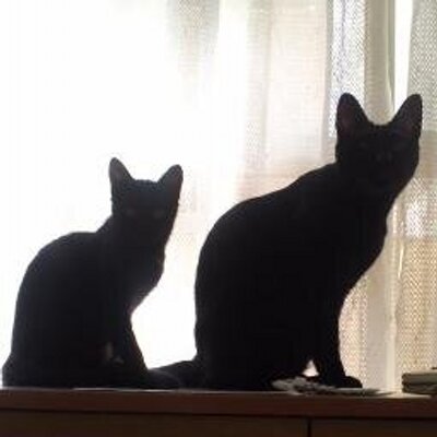 くるくる
