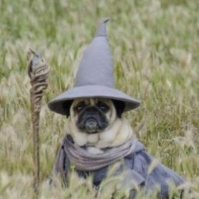 SAM_wow38 Profile Picture