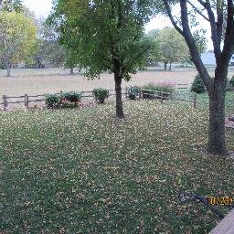 raytarvin's profile picture. 