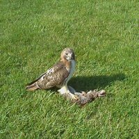 michael cook (@michael_mcook) 's Twitter Profile