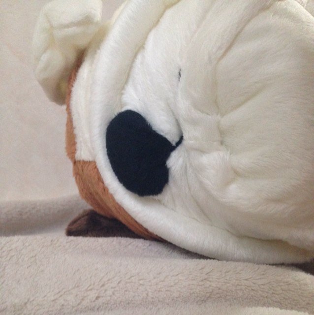 606_little's profile picture. 