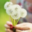 Anna Shpak - @baby_starling - Twitter